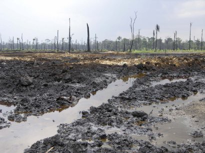 Nigeria: holenderski sąd wydał korzystny dla Shell wyrok w sprawie dot. wycieków ropy w Delcie Nigru